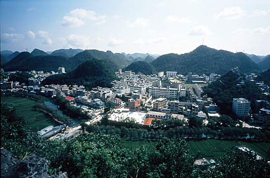 soi cầu bạch kim