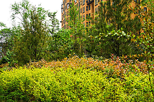 lô khung 247