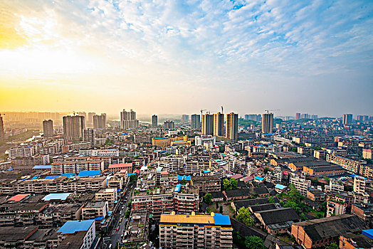 soi cau 333