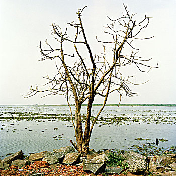 xs ninh thuan