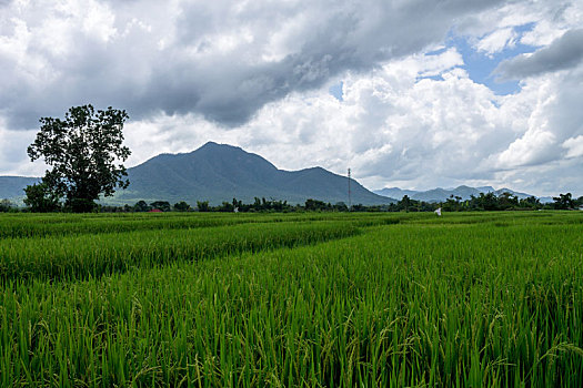 soi cầu giờ vàng chốt số