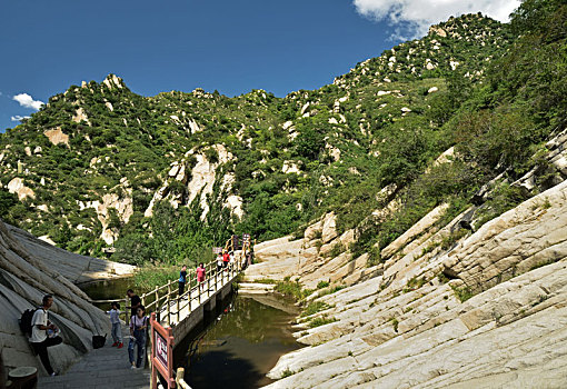 cau bach thu de