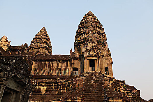 cau bạch thu
