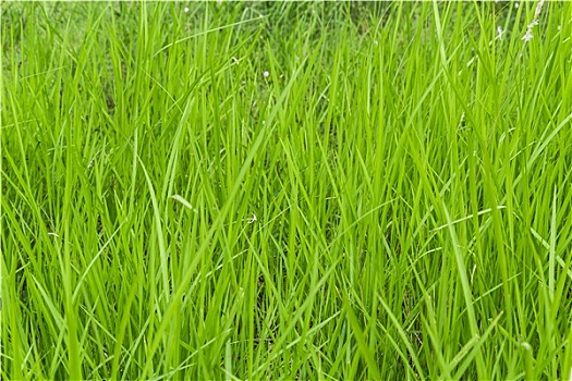 kết quả xổ số hà nội hôm nay