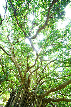 du doan xo so phu yen wap