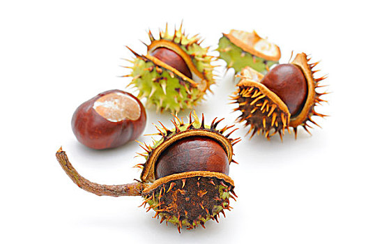 soi cầu xổ số quảng nam