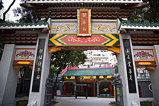 bạch thủ đề miền bắc