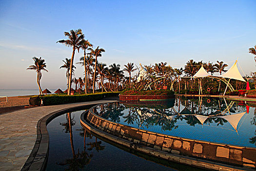cầu bạch thủ 247
