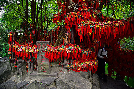 bạch thủ lô đề