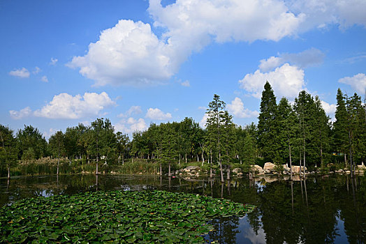 soi cầu ưin2888