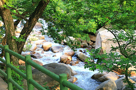 soi cầu bạch thủ lô