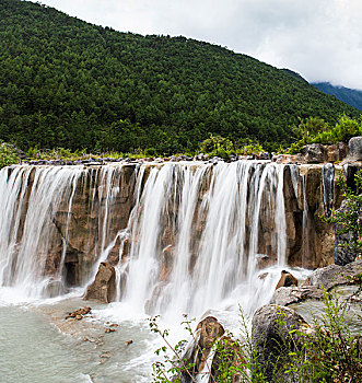 soi cau bach thu 8888