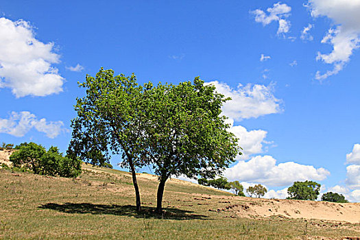 xsmn thứ 5