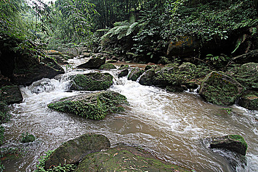 thống kê xổ số long an