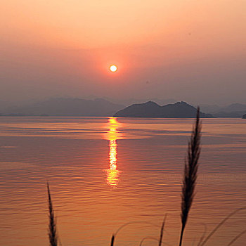 soi mien phi