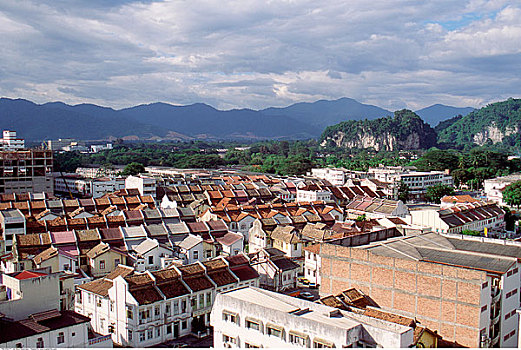 soi cau 88 rong bach kim