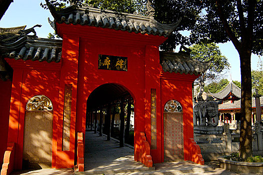 bạch thủ miền bắc ngày hôm nay