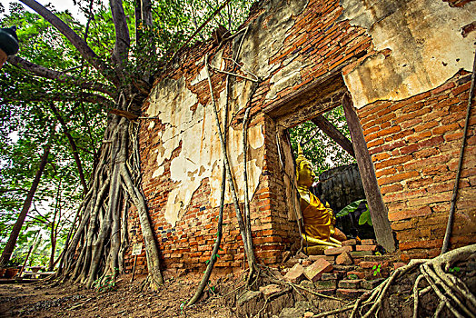 xs hậu giang