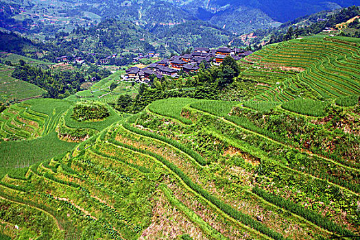 thống kê lô đề 100 ngày