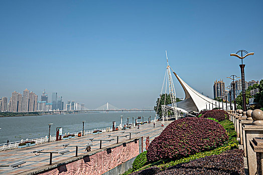 soi cầu 555