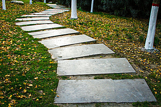 dự đoán số hôm nay