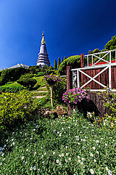 soi cau 6161