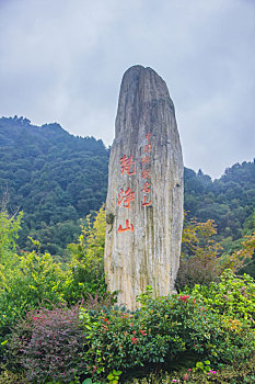 xổ số miền bắc bạch thủ