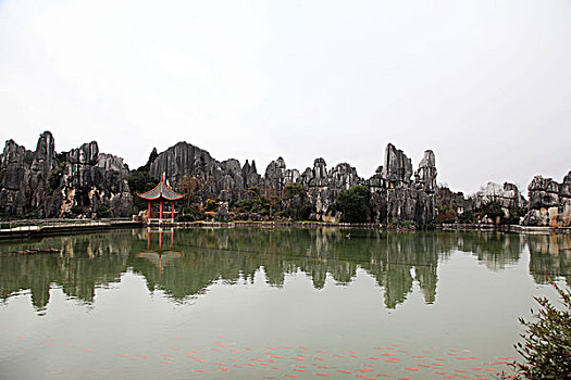 dàn đề chuẩn