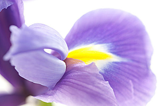 cách chơi lô đề miền nam