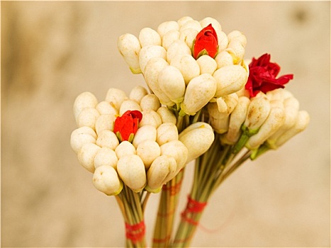 xổ số miền bắc thứ 2 hàng tuần