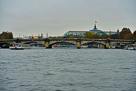 soi bạch thủ