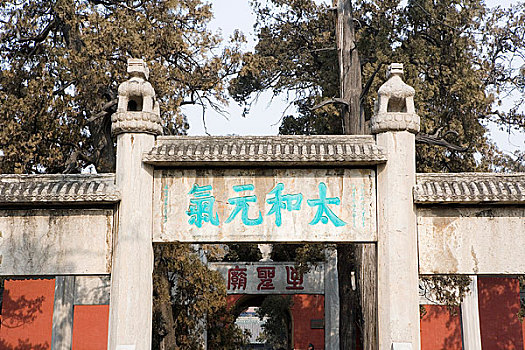 soi cau lo bach thu khung 5 ngay
